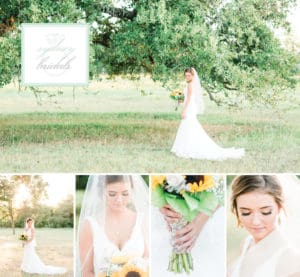 College Station Rustic Elegant Barn Wedding Venue