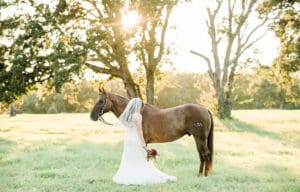 Sunlit Bridal Portraits by Kati Hewitt Photography